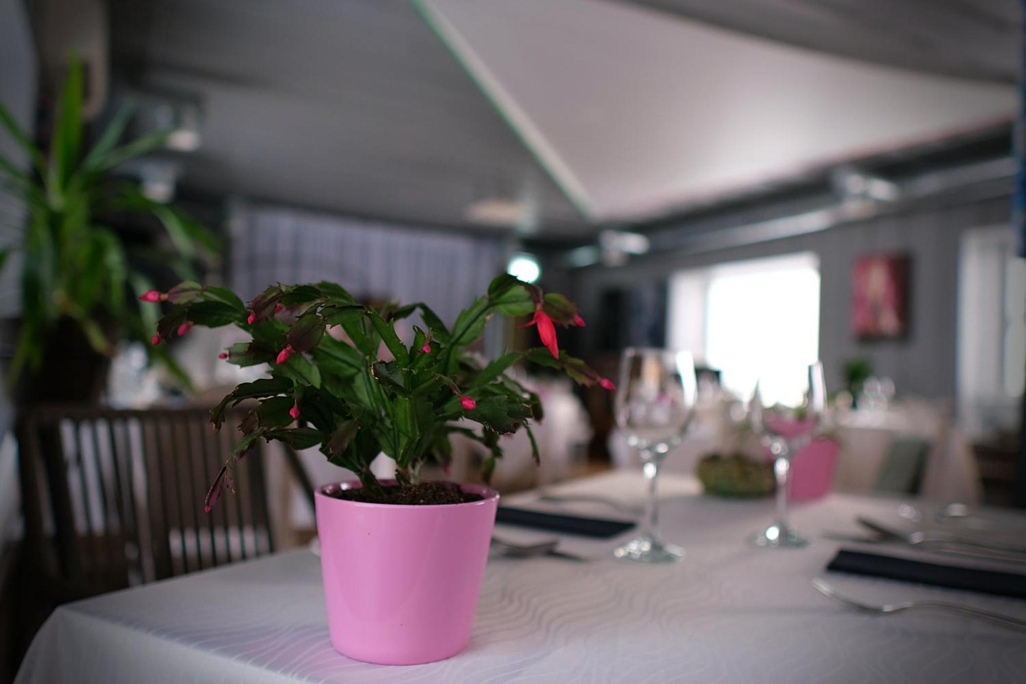Vergi Sadam & Restoran Wirkes' Exteriér fotografie